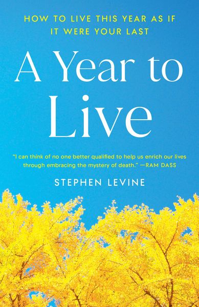 Produktbild: A Year to Live