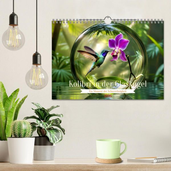 Produktbild: Kolibri in der Glaskugel (Wandkalender 2026 DIN A4 quer), CALVENDO Monatskalender