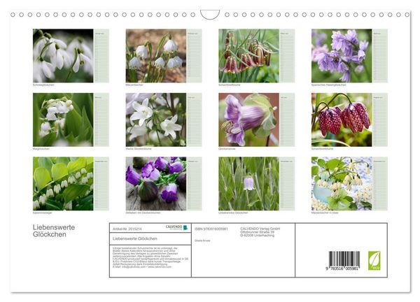 Produktbild: Liebenswerte Gl&ouml;ckchen (Wandkalender 2026 DIN A3 quer), CALVENDO Monatskalender