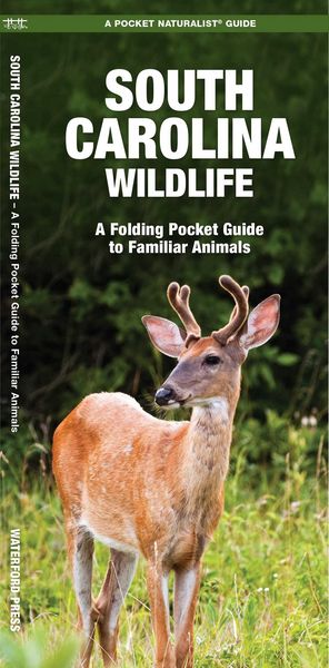 Produktbild: South Carolina Wildlife