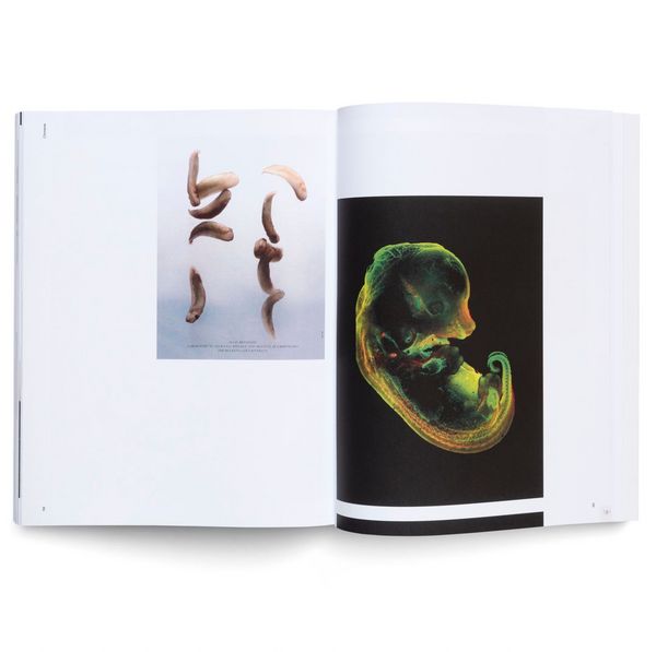 Produktbild: Pierre Huyghe