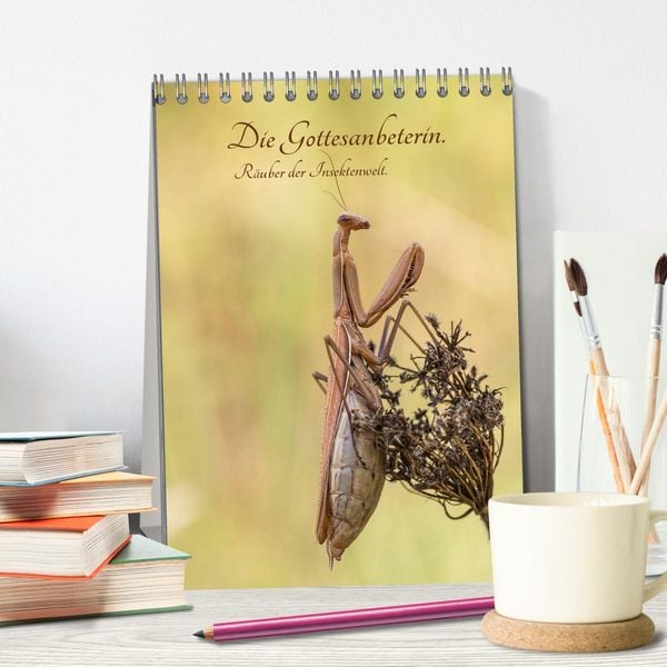 Produktbild: Die Gottesanbeterin. R&auml;uber der Insektenwelt. (Tischkalender 2026 DIN A5 hoch), CALVENDO Monatskalender