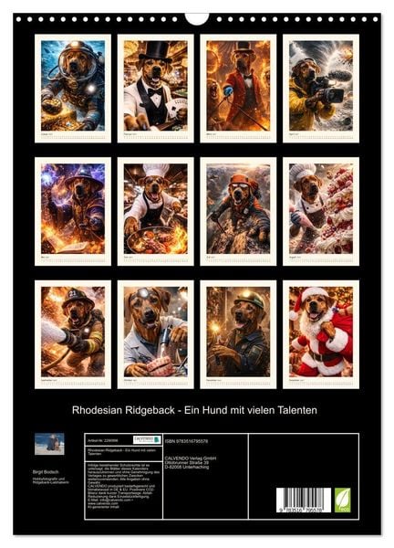 Produktbild: Rhodesian Ridgeback - Ein Hund mit vielen Talenten (Wandkalender 2027 DIN A3 hoch), CALVENDO Monatskalender