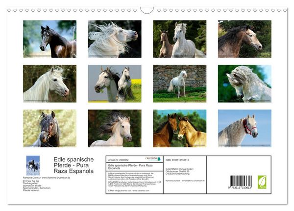 Produktbild: Edle spanische Pferde - Pura Raza Espanola (Wandkalender 2026 DIN A3 quer), CALVENDO Monatskalender