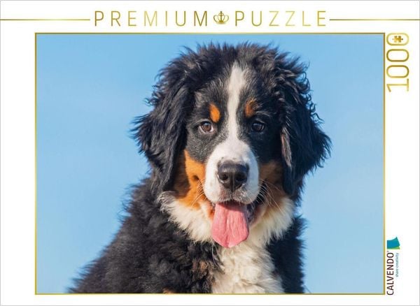 Produktbild: CALVENDO Puzzle Ein entz&uuml;ckender junger Berner Sennenhund | 1000 Teile Lege-Gr&ouml;&szlig;e 64x48cm Foto-Puzzle f&uuml;r gl&uuml;ckliche Stunden