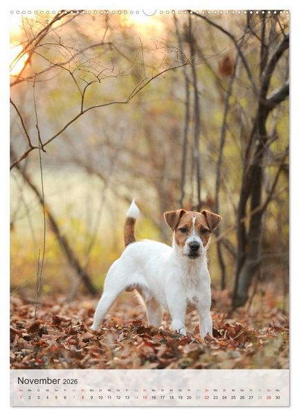 Produktbild: Hundepers&ouml;nlichkeiten (Wandkalender 2026 DIN A2 hoch), CALVENDO Monatskalender