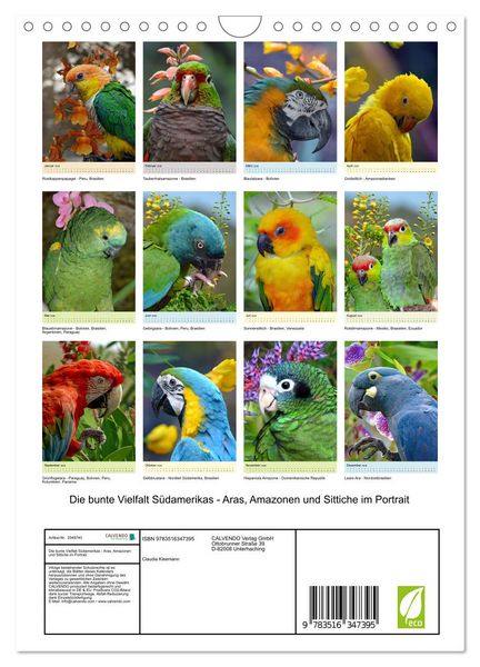 Produktbild: Die bunte Vielfalt S&uuml;damerikas - Aras, Amazonen und Sittiche im Portrait (Wandkalender 2026 DIN A4 hoch), CALVENDO Monatskalender
