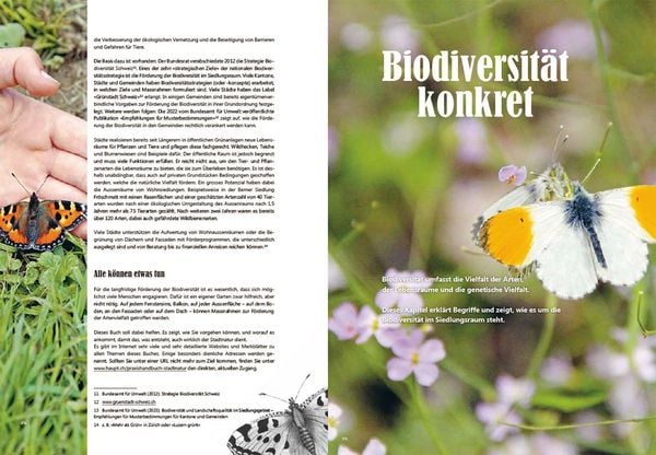Produktbild: Praxishandbuch Stadtnatur