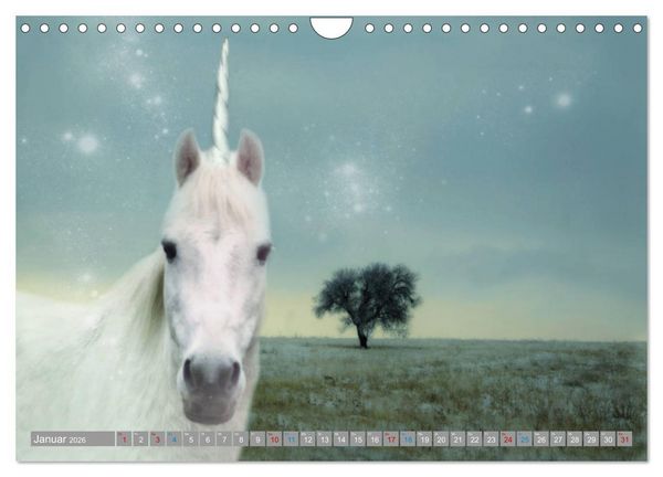 Produktbild: Fabeltier Einhorn (Wandkalender 2026 DIN A4 quer), CALVENDO Monatskalender