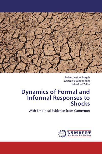 Produktbild: Dynamics of Formal and Informal Responses to Shocks