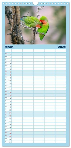 Produktbild: Familienplaner 2026 - Papageien - Frech, sch&ouml;n und schlau mit 5 Spalten (Wandkalender, 21 x 45 cm) CALVENDO