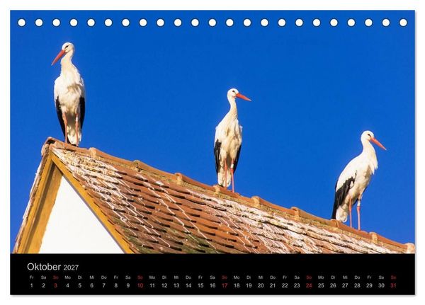 Produktbild: E L S A S S Impressionen (Tischkalender 2027 DIN A5 quer), CALVENDO Monatskalender