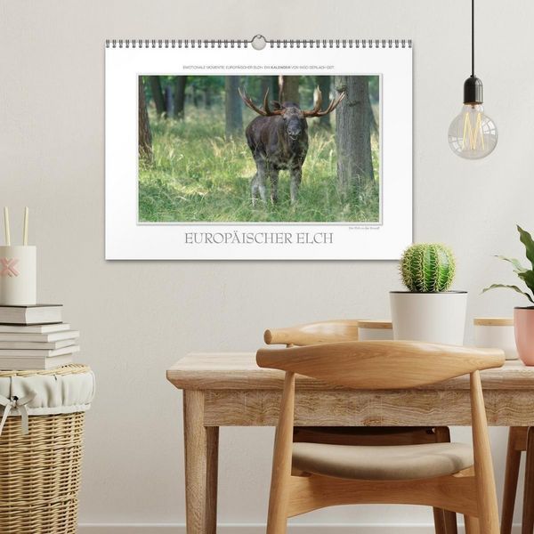 Produktbild: Emotionale Momente: Europ&auml;ischer Elch. (Wandkalender 2027 DIN A3 quer), CALVENDO Monatskalender