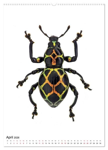 Produktbild: Die sch&ouml;nsten Insekten (hochwertiger Premium Wandkalender 2026 DIN A2 hoch), Kunstdruck in Hochglanz