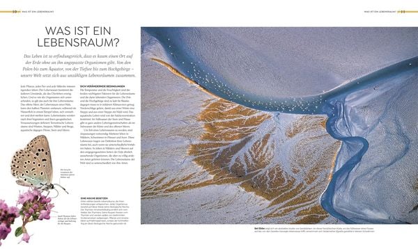 Produktbild: Wilde Welten