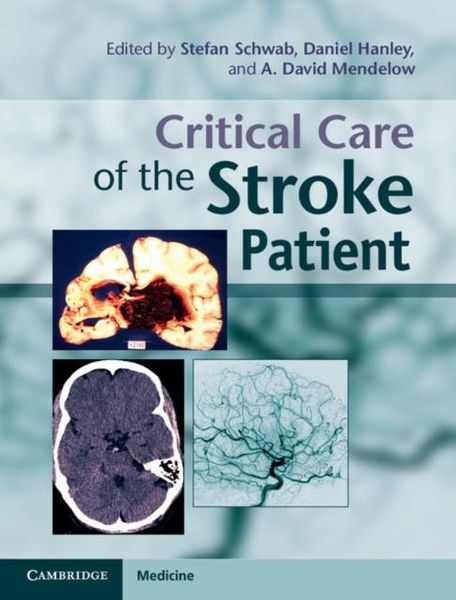 Produktbild: Critical Care of the Stroke Patient