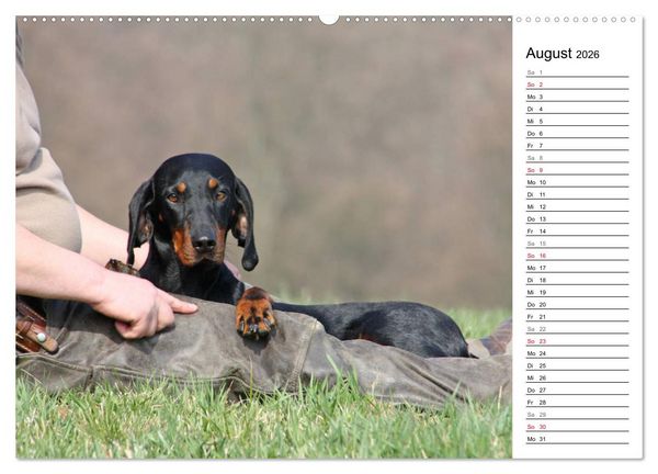 Produktbild: Der Brandlbracken-Terminplaner (hochwertiger Premium Wandkalender 2026 DIN A2 quer), Kunstdruck in Hochglanz