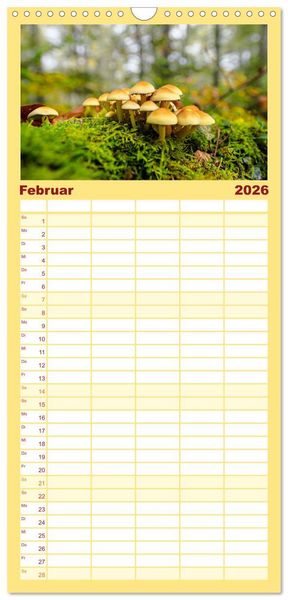 Produktbild: Familienplaner 2026 - Fantastische Pilzwelten mit 5 Spalten (Wandkalender, 21 x 45 cm) CALVENDO