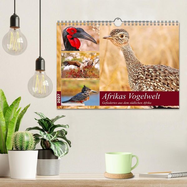 Produktbild: Afrikas Vogelwelt 2027 (Wandkalender 2027 DIN A4 quer), CALVENDO Monatskalender