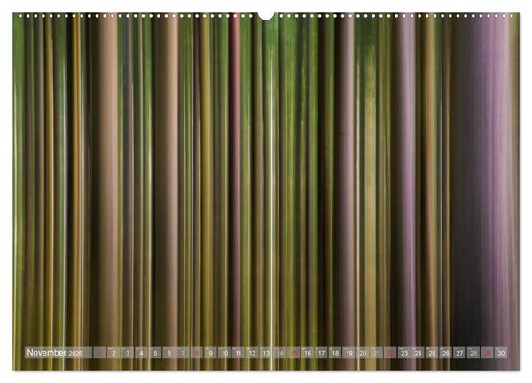 Produktbild: Atelier Wald - gemalt mit Licht (hochwertiger Premium Wandkalender 2026 DIN A2 quer), Kunstdruck in Hochglanz