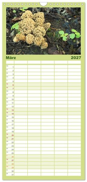 Produktbild: Familienplaner 2027 - Pilze - tolle Funde mit 5 Spalten (Wandkalender, 21 x 45 cm) CALVENDO