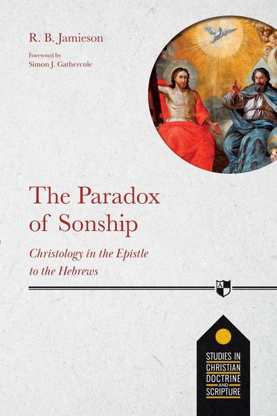 Produktbild: The Paradox of Sonship