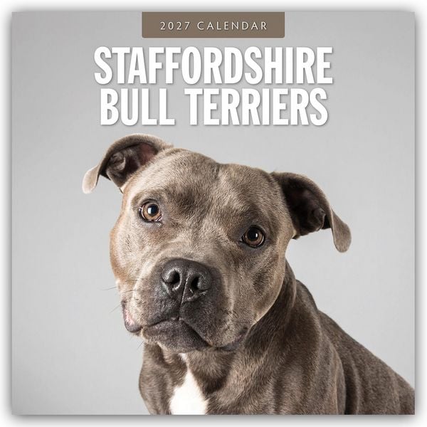 Produktbild: Staffordshire Bull Terriers &ndash; Staffordshire Bullterrier 2027 &ndash; 16-Monatskalender