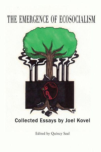 Produktbild: The Emergence of Ecosocialism