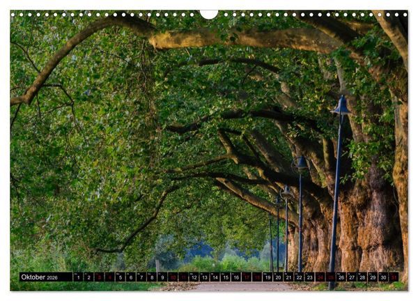 Produktbild: Ludwigshafen - Lebenswerte Stadt am Rhein (Wandkalender 2026 DIN A3 quer), CALVENDO Monatskalender