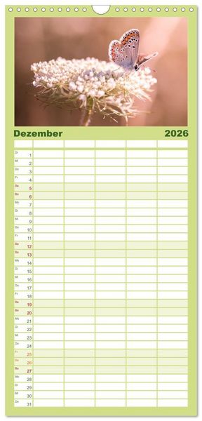 Produktbild: Familienplaner 2026 - Schmetterlinge. Schimmernde Zauberwesen mit 5 Spalten (Wandkalender, 21 x 45 cm) CALVENDO
