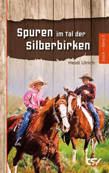 Produktbild: Spuren im Tal der Silberbirken