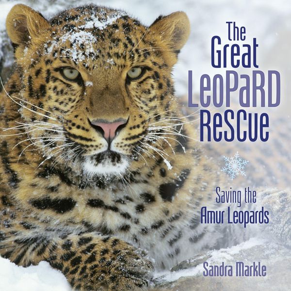 Produktbild: Great Leopard Rescue