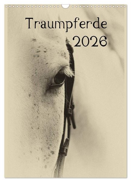 Produktbild: Traumpferde 2026 (Wandkalender 2026 DIN A3 hoch), CALVENDO Monatskalender