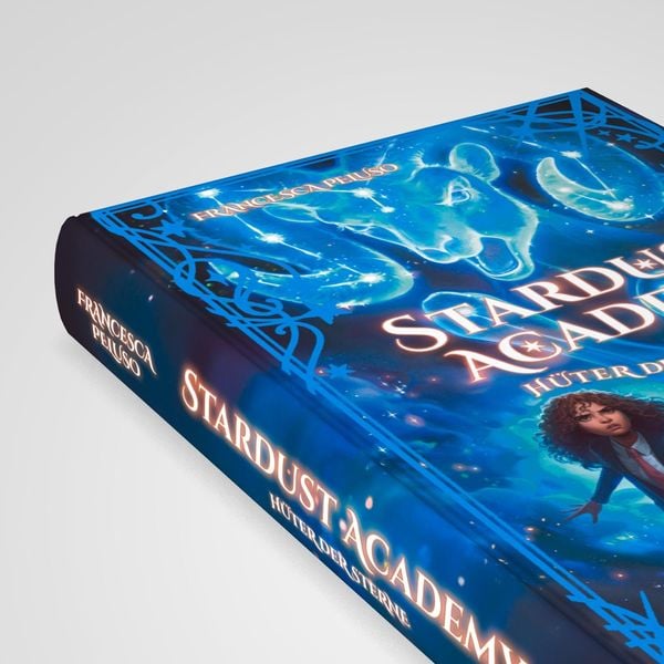 Produktbild: Stardust Academy - H&uuml;ter der Sterne