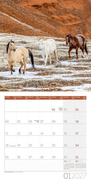 Produktbild: Pferde Kalender 2027 - 30x30 - Art12