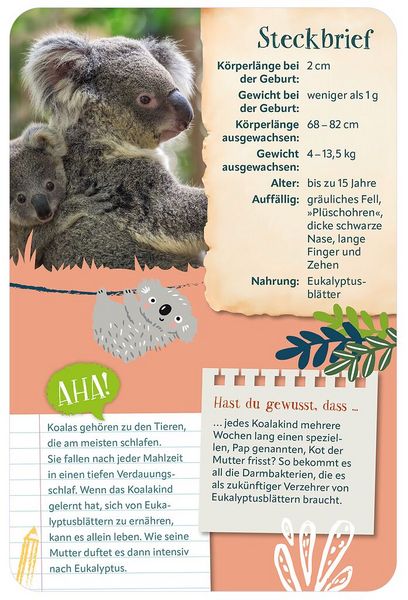 Produktbild: Die 100 s&uuml;&szlig;esten Tierbabys