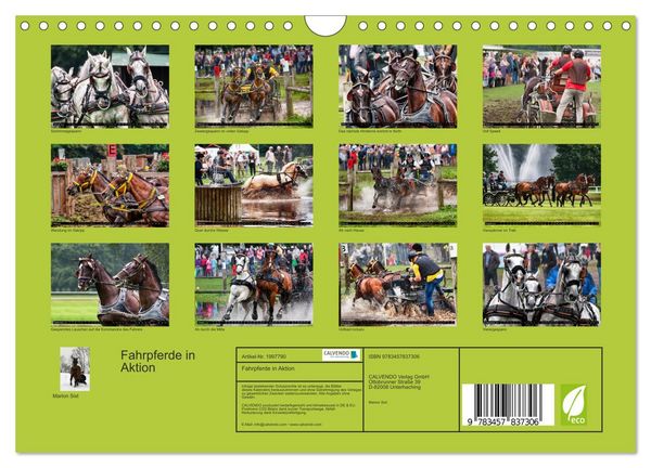 Produktbild: Fahrpferde in Aktion (Wandkalender 2026 DIN A4 quer), CALVENDO Monatskalender