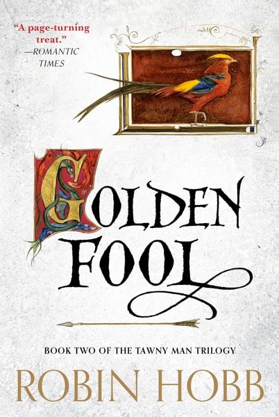 Produktbild: Golden Fool