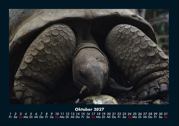 Produktbild: Schildkr&ouml;tenzauber 2027 Fotokalender DIN A4