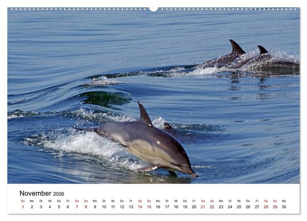Produktbild: Von Cornwall nach Schottland (hochwertiger Premium Wandkalender 2026 DIN A2 quer), Kunstdruck in Hochglanz