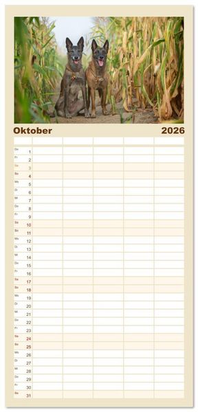 Produktbild: Familienplaner 2026 - Mit dem Malinois durch das Jahr mit 5 Spalten (Wandkalender, 21 x 45 cm) CALVENDO