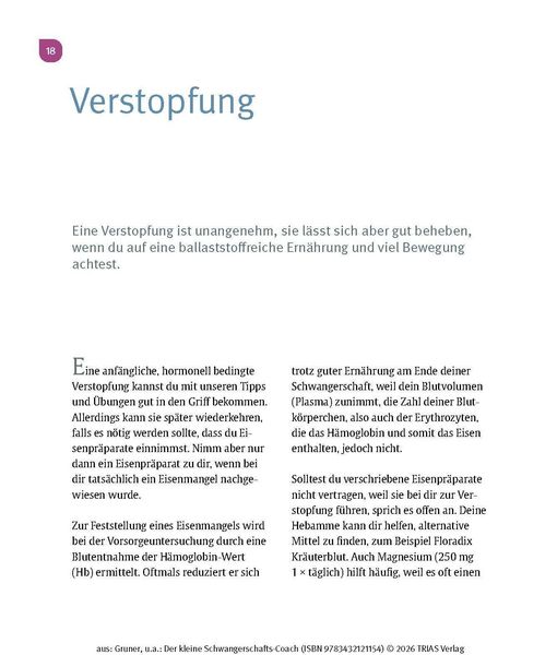 Produktbild: Der kleine Schwangerschafts-Coach