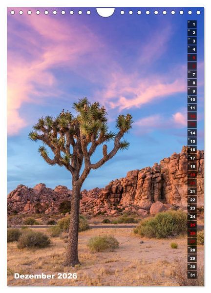 Produktbild: Impressionen aus dem JOSHUA TREE NATIONAL PARK (Wandkalender 2026 DIN A4 hoch), CALVENDO Monatskalender