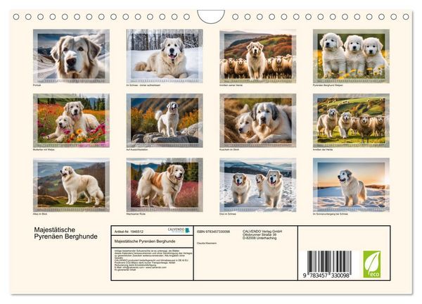 Produktbild: Majest&auml;tische Pyren&auml;en Berghunde (Wandkalender 2026 DIN A4 quer), CALVENDO Monatskalender
