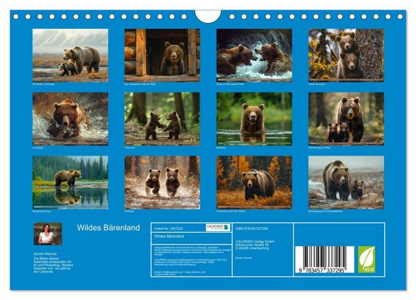 Produktbild: Wildes B&auml;renland (Wandkalender 2026 DIN A4 quer), CALVENDO Monatskalender