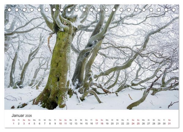 Produktbild: Im Deutschen Wald (Tischkalender 2026 DIN A5 quer), CALVENDO Monatskalender