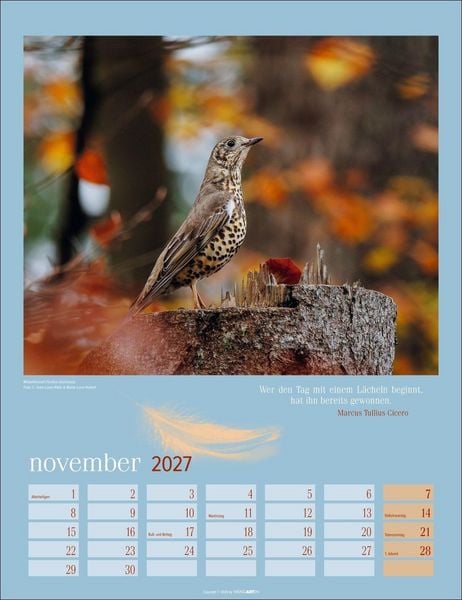 Produktbild: Heimische V&ouml;gel Kalender 2027