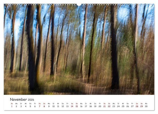 Produktbild: Abstrakte Naturerlebnisse - ICM (Intentional Camera Movement) Fotografie (hochwertiger Premium Wandkalender 2026 DIN A2 quer), Kunstdruck in Hochglanz