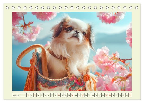 Produktbild: Edle Japan Chins. Zarte Herzen aus Fernost (Tischkalender 2026 DIN A5 quer), CALVENDO Monatskalender