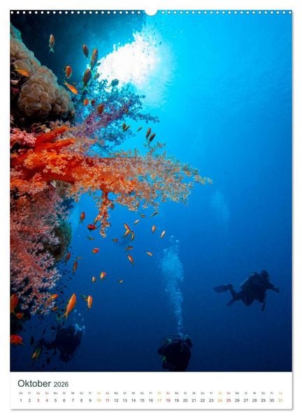 Produktbild: Unter Wasser daheim (hochwertiger Premium Wandkalender 2026 DIN A2 hoch), Kunstdruck in Hochglanz